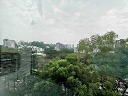 Duet (D10), Condominium #530076221